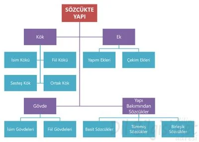 Sözcükte Yapı Kavram Haritası