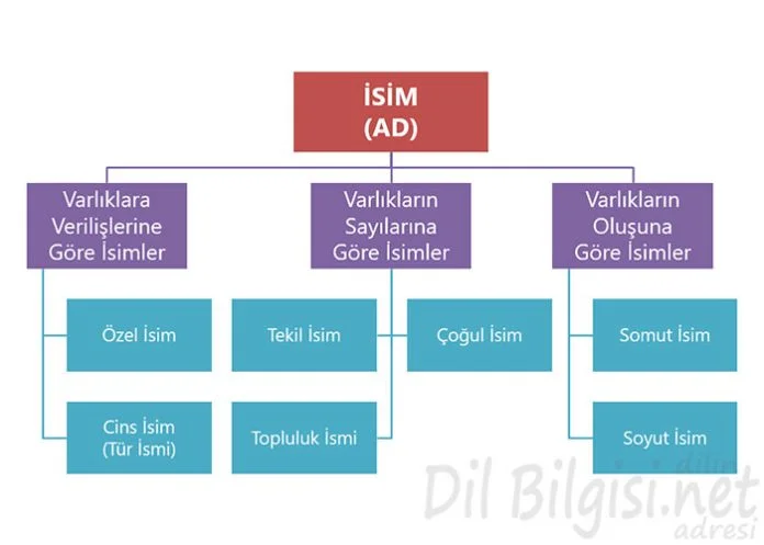 İsim Kavram Haritası