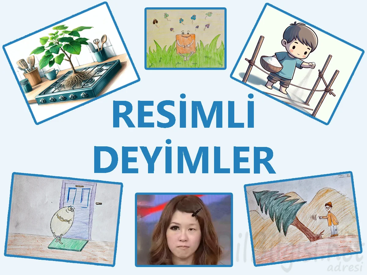 Resimli Deyimler ve Anlamları